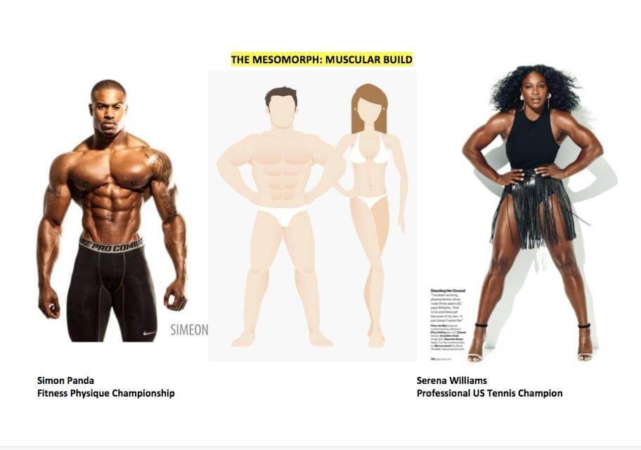 Mesomorph
